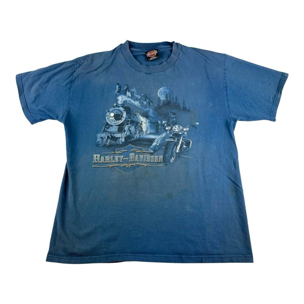 Harley-Davidson Reiman's IL T Shirt Mens Size‎ L Blue 2 Sided Graphic Thrashed